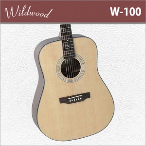 [당일배송] Wildwood W100 / 와일드우드 W-100 / 국내생산 / 탑솔리드 통기타